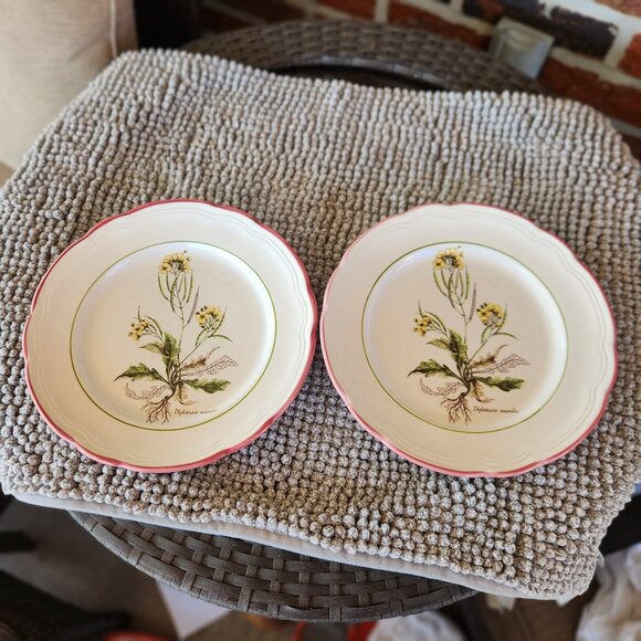 Vintage Italian Plates - PRL10 Diplotaxis Muralis by Primula - Picture 1 of 7